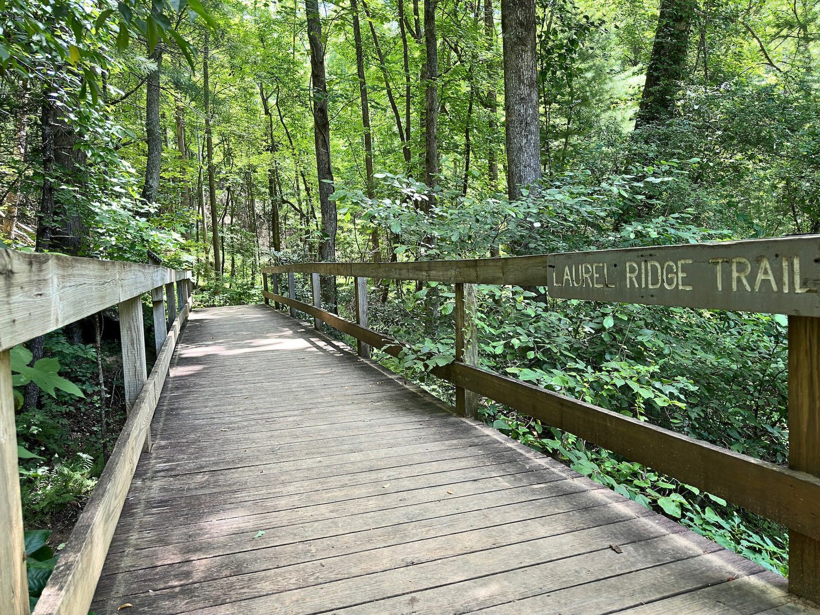 Smithgall Woods State Park Hiking Trails